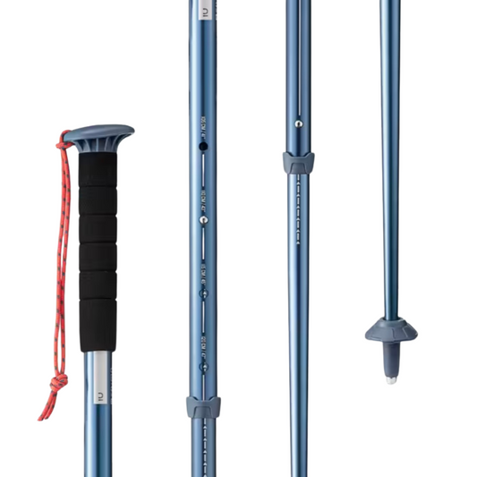 Walking sticks