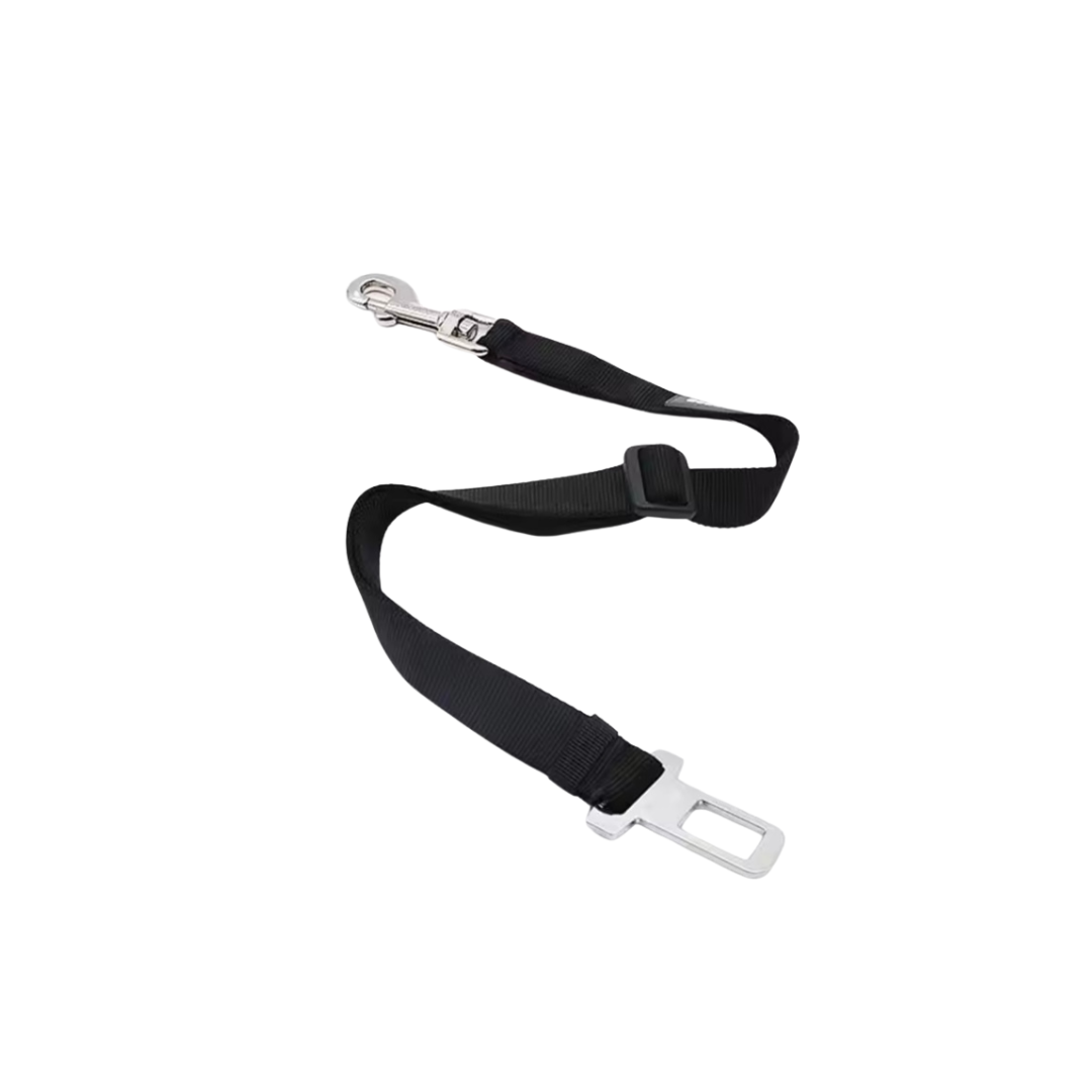 Seat belts for dogs