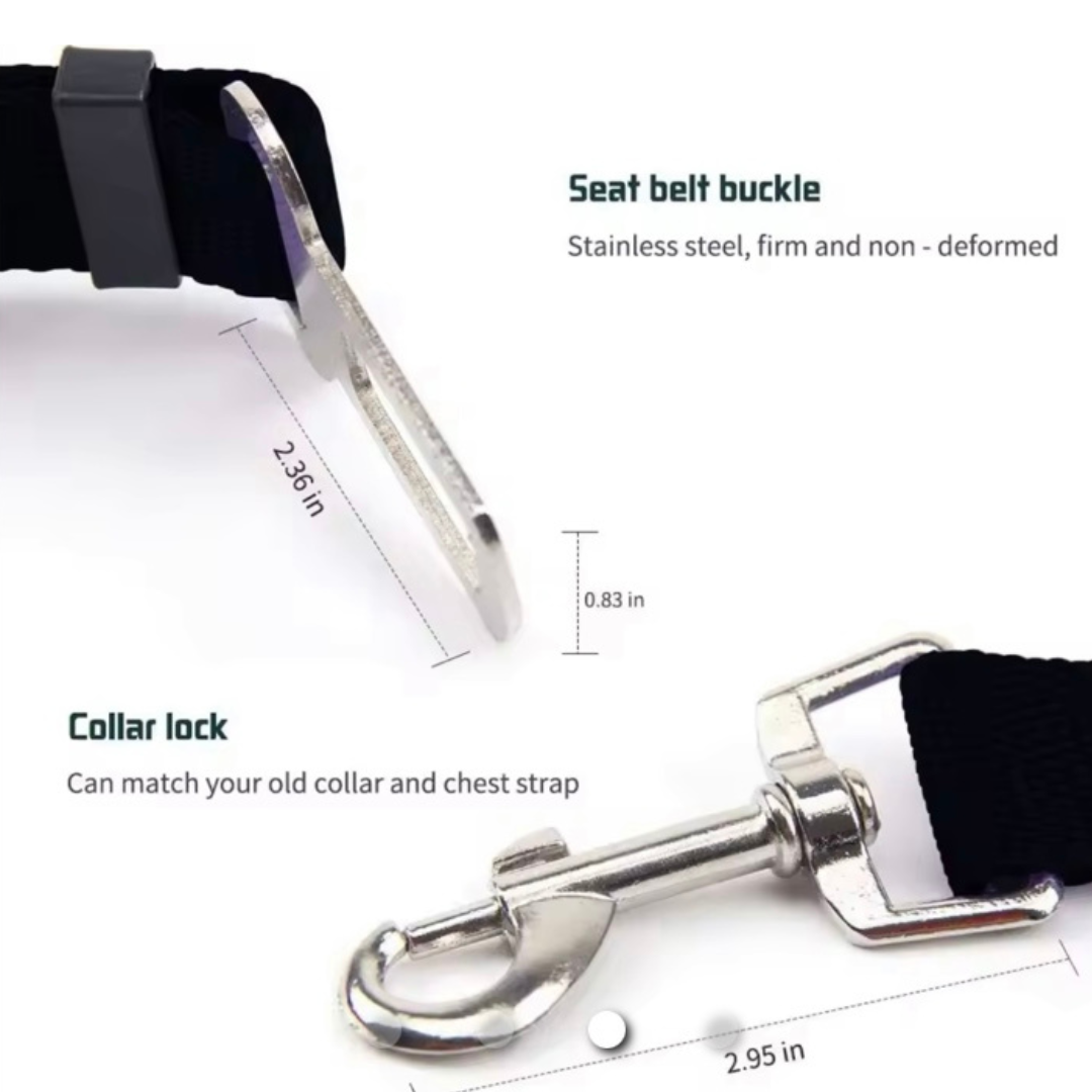 Seat belts for dogs