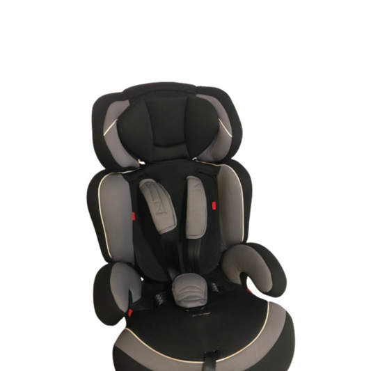 Safety/booster seat