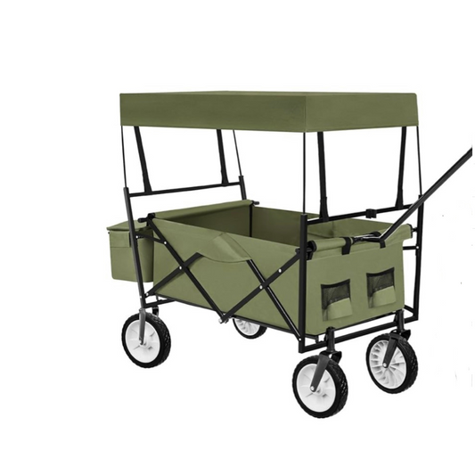carros de transporte