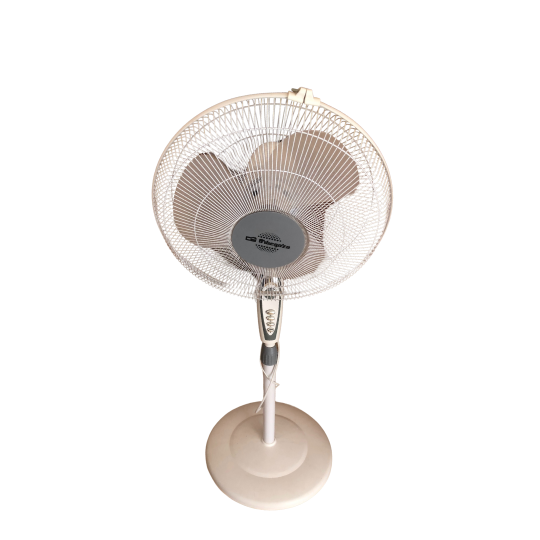 Fan